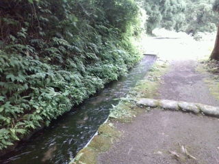 f:id:itotto:20100803144810j:image