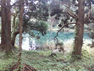 f:id:itotto:20100803144834j:image