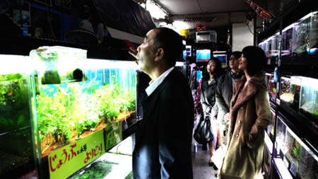 f:id:itotto:20110703001821j:image