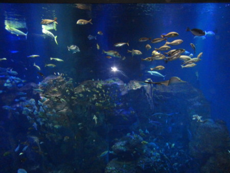 f:id:itotto:20110812103820j:image f:id:itotto:20110812103820j:image