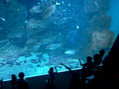 f:id:itotto:20110812103932j:image f:id:itotto:20110812103932j:image