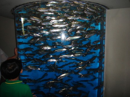 f:id:itotto:20110812104609j:image f:id:itotto:20110812104609j:image