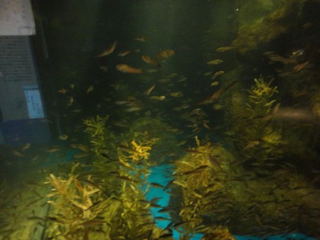 f:id:itotto:20110812104849j:image f:id:itotto:20110812104849j:image