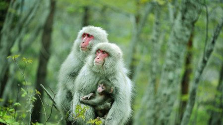 f:id:itotto:20120207010948j:image