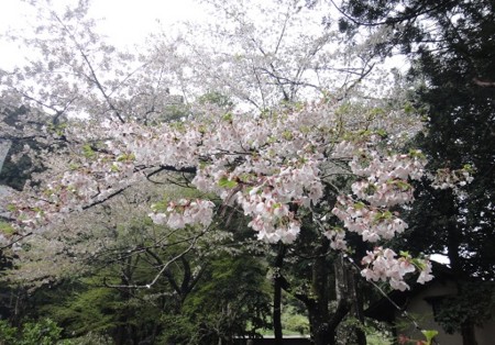 f:id:itotto:20120504110932j:image