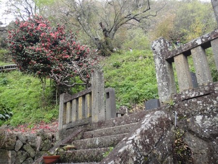 f:id:itotto:20120504114613j:image