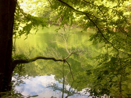 f:id:itotto:20120817145154j:image f:id:itotto:20120817145154j:image