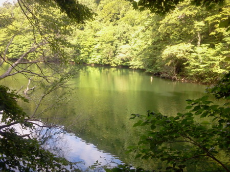 f:id:itotto:20120817145203j:image f:id:itotto:20120817145203j:image