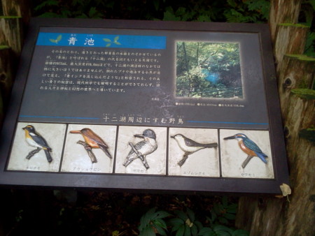 f:id:itotto:20120817145310j:image f:id:itotto:20120817145310j:image