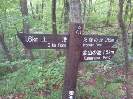 f:id:itotto:20120817150524j:image f:id:itotto:20120817150524j:image