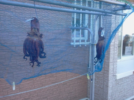 f:id:itotto:20120817162648j:image f:id:itotto:20120817162648j:image