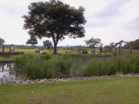 f:id:itotto:20120909142636j:image