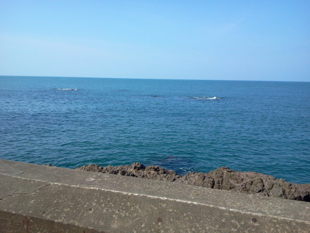f:id:itotto:20121027115717j:image:h300