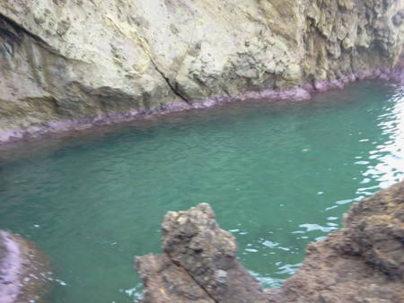 f:id:itotto:20121027115749j:image:h300