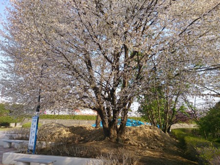 f:id:itotto:20130429073449j:image f:id:itotto:20130429073449j:image