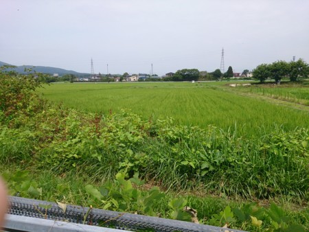 f:id:itotto:20130805105013j:image:h250