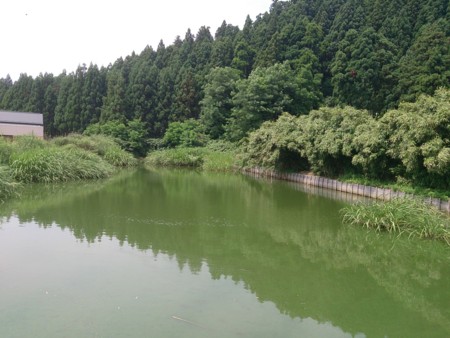 f:id:itotto:20130805105517j:image:h250