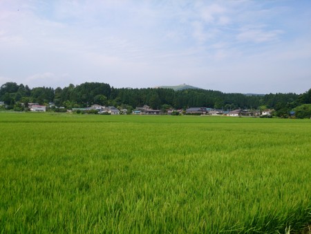 f:id:itotto:20130805110240j:image:h300