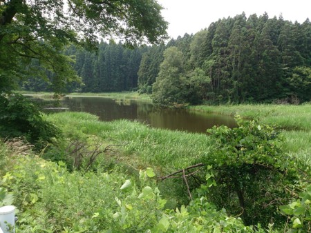 f:id:itotto:20130805111038j:image:h250