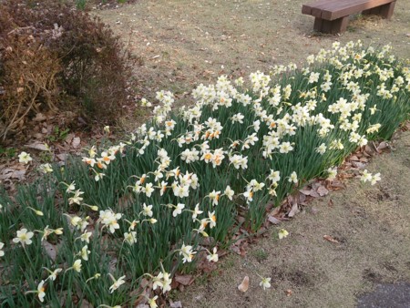 f:id:itotto:20140405165335j:image:h300