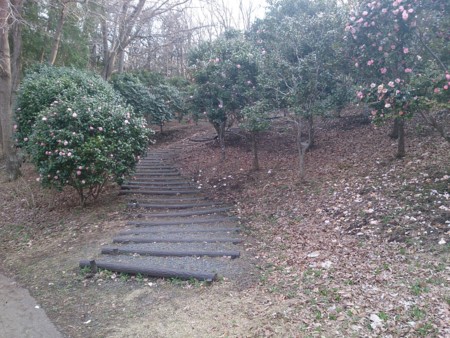 f:id:itotto:20140405165446j:image:h300