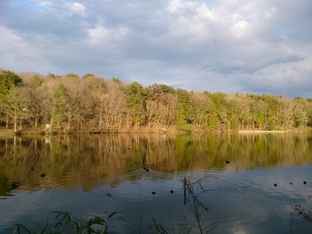 f:id:itotto:20140405170133j:image:h300