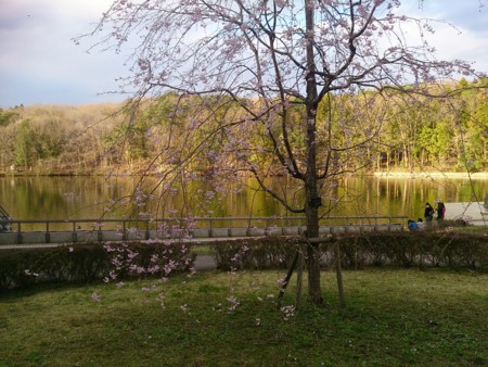 f:id:itotto:20140405170346j:image:h300