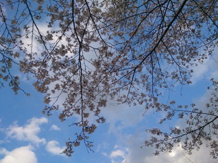 f:id:itotto:20140405170544j:image:h300