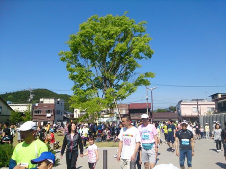 f:id:itotto:20140511085132j:image