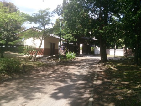 f:id:itotto:20140614145007j:image