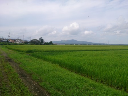 f:id:itotto:20140812105108j:image