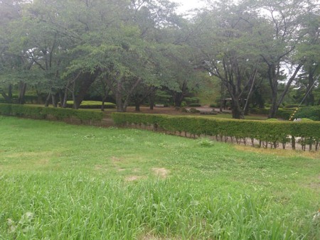 f:id:itotto:20140812105937j:image