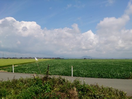 f:id:itotto:20140813115729j:image