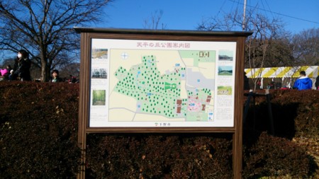 f:id:itotto:20150112085841j:image:h250