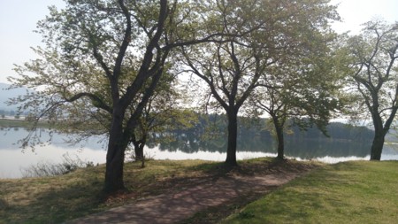 f:id:itotto:20150503085648j:image:h250 f:id:itotto:20150503085648j:image:h250