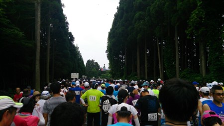 f:id:itotto:20150802080228j:image:h250