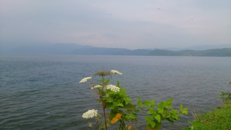 f:id:itotto:20150804160511j:image:h250