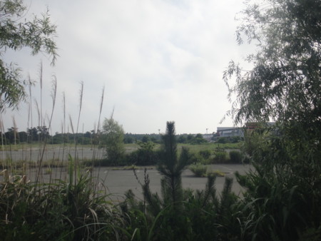 f:id:itotto:20150806155214j:image:h250