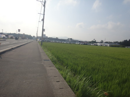 f:id:itotto:20150806155812j:image:h250