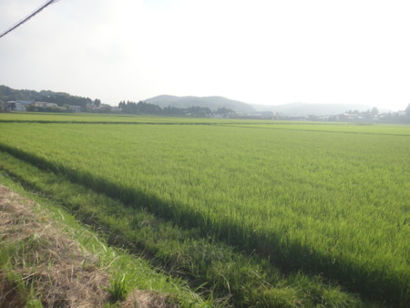 f:id:itotto:20150806161724j:image:h250