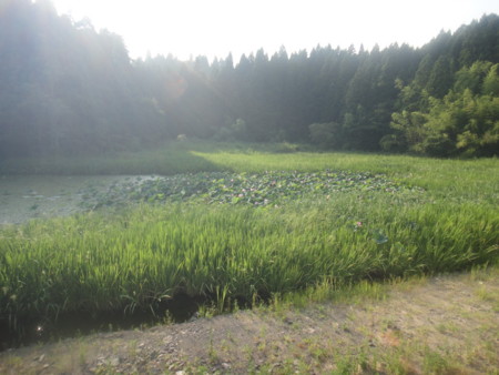 f:id:itotto:20150806162329j:image:h250