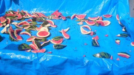f:id:itotto:20150807092104j:image:h250