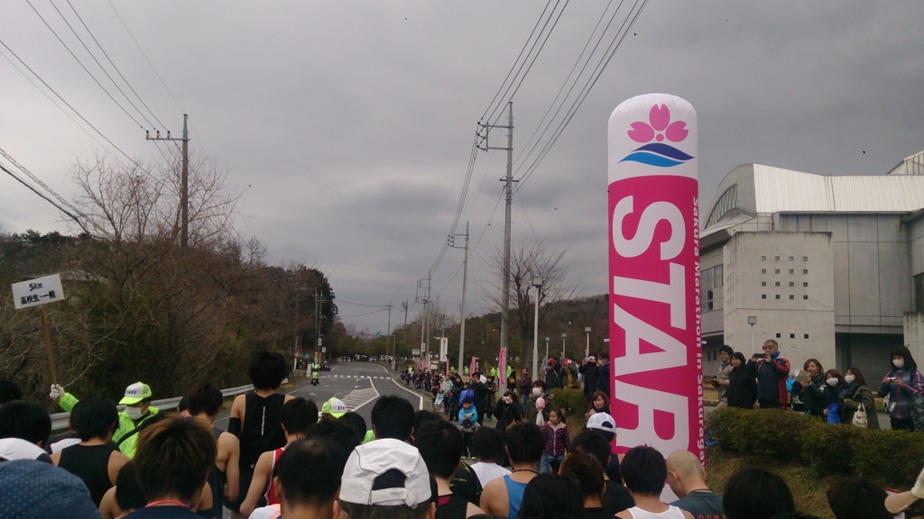 f:id:itotto:20160313114919j:plain