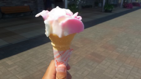 f:id:itotto:20160809103816j:image:h250