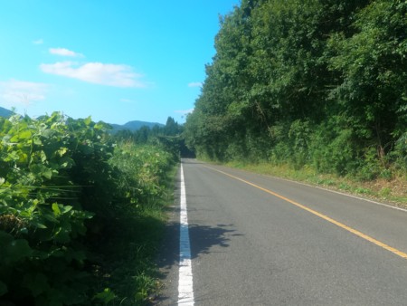 f:id:itotto:20160903150232j:image