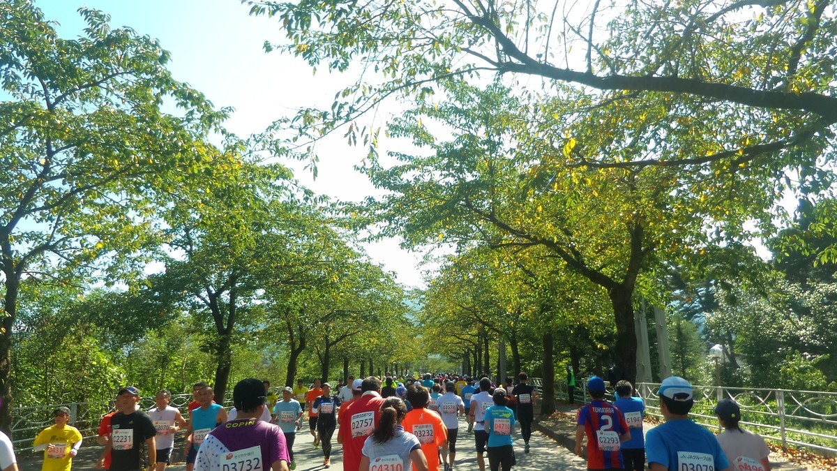 f:id:itotto:20161002103433j:plain