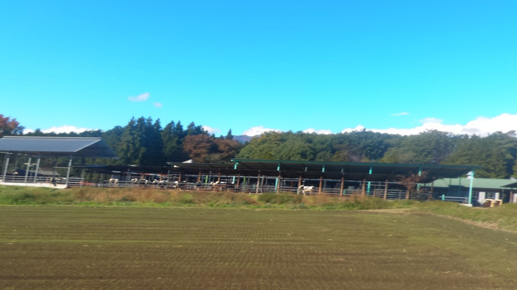 f:id:itotto:20161103104409j:plain