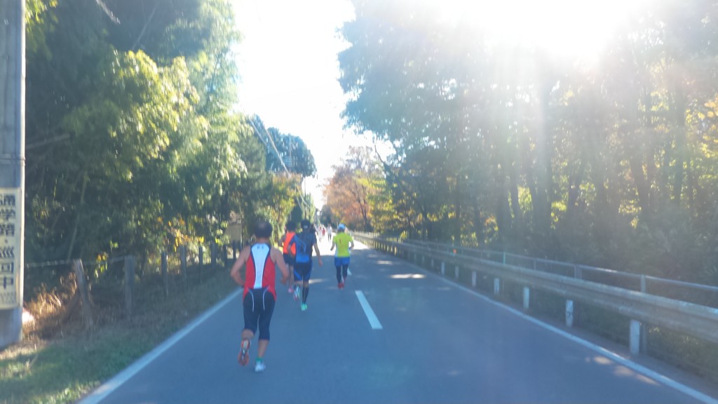 f:id:itotto:20161103104553j:plain