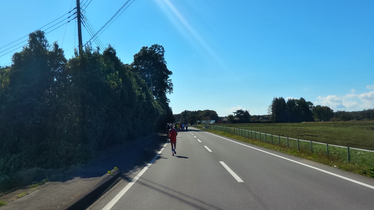 f:id:itotto:20161103105622j:plain