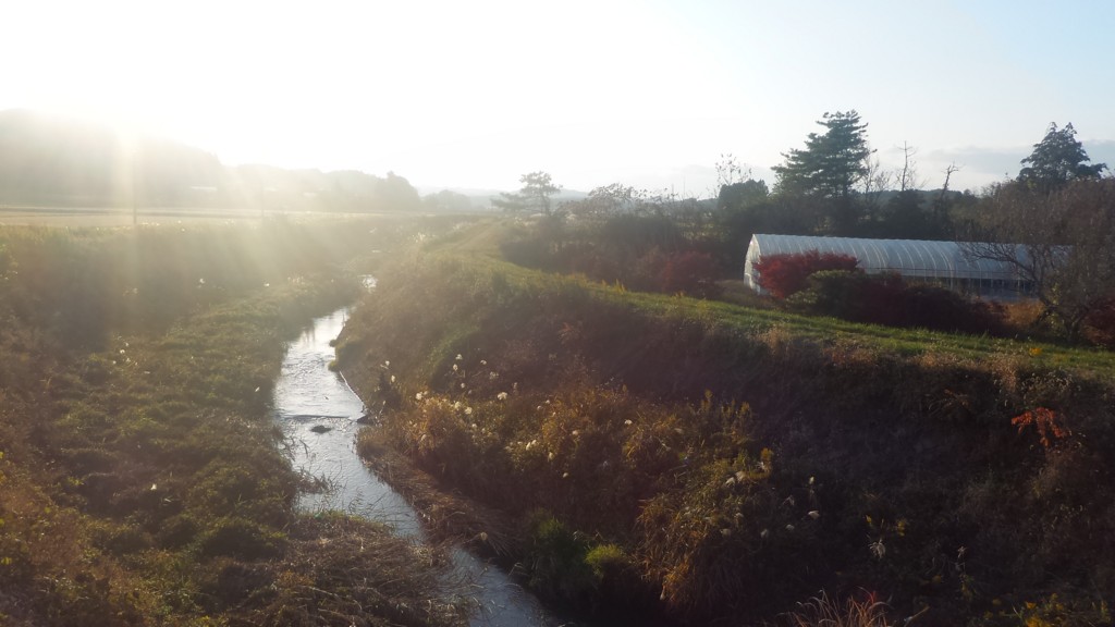 f:id:itotto:20161106153310j:plain f:id:itotto:20161106153310j:plain